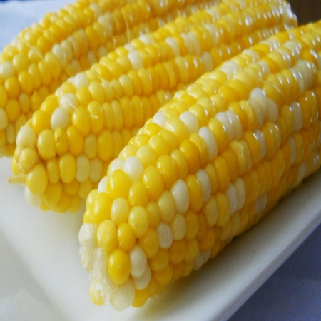 Corn On The Cob 1x48